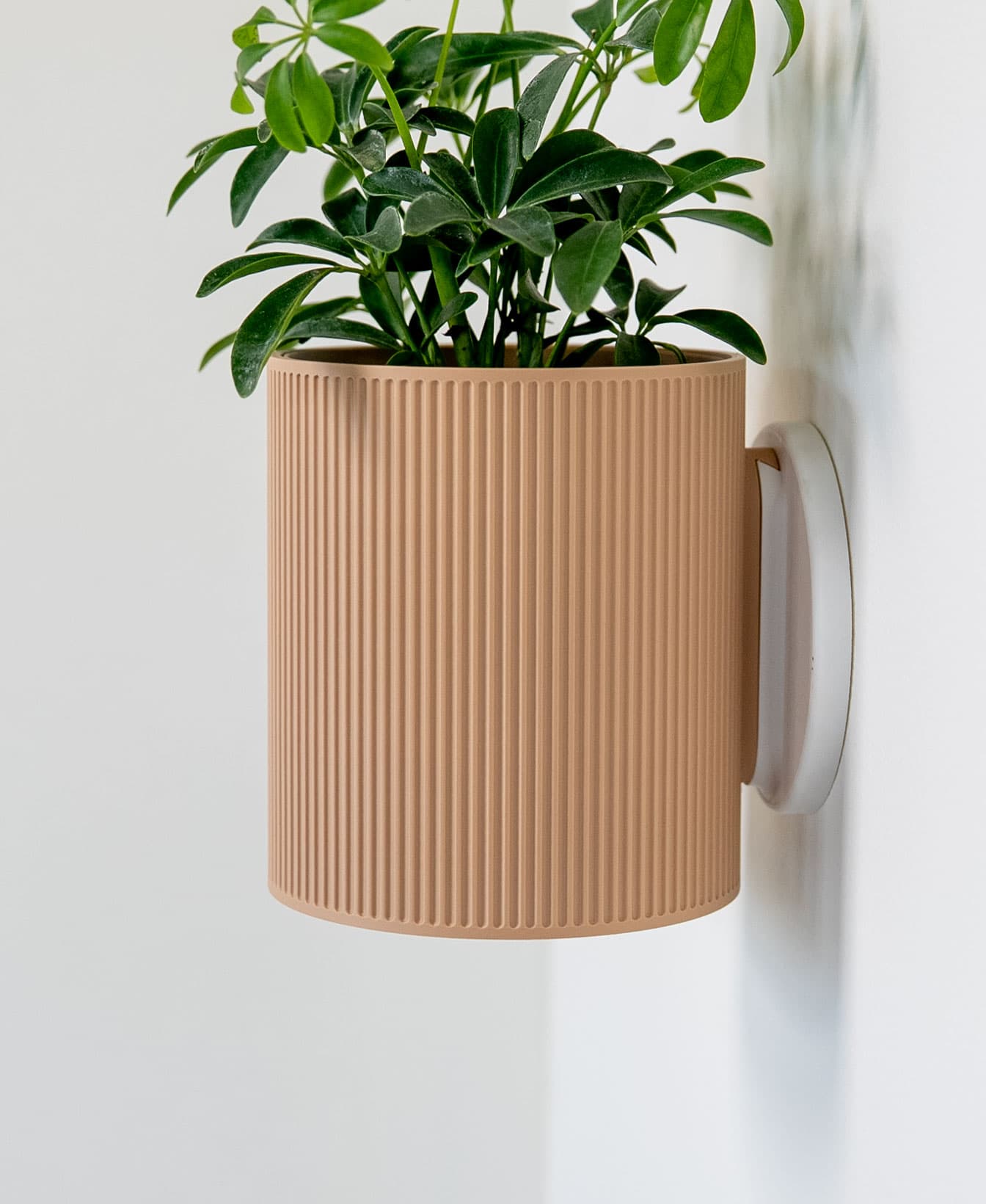 Heywood Wall Planter v2