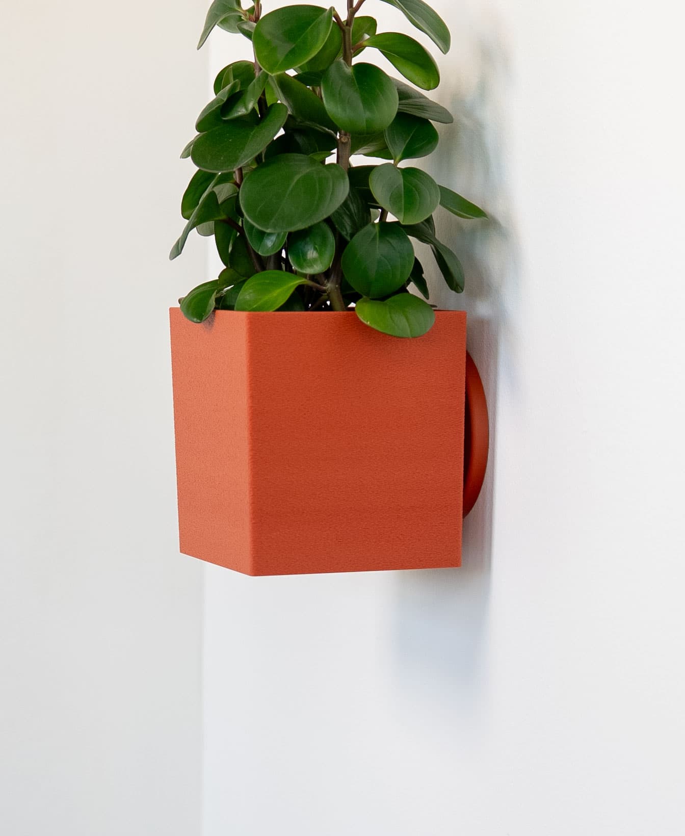 Square Tapered Planter