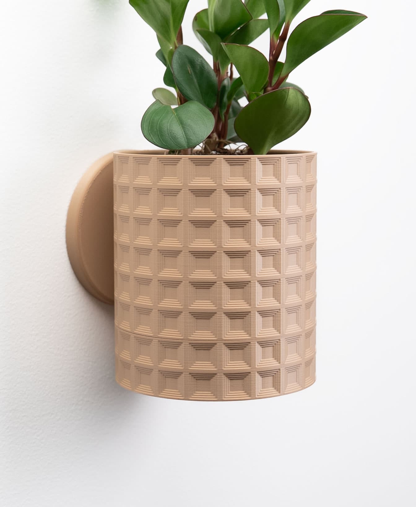 Echo Planter