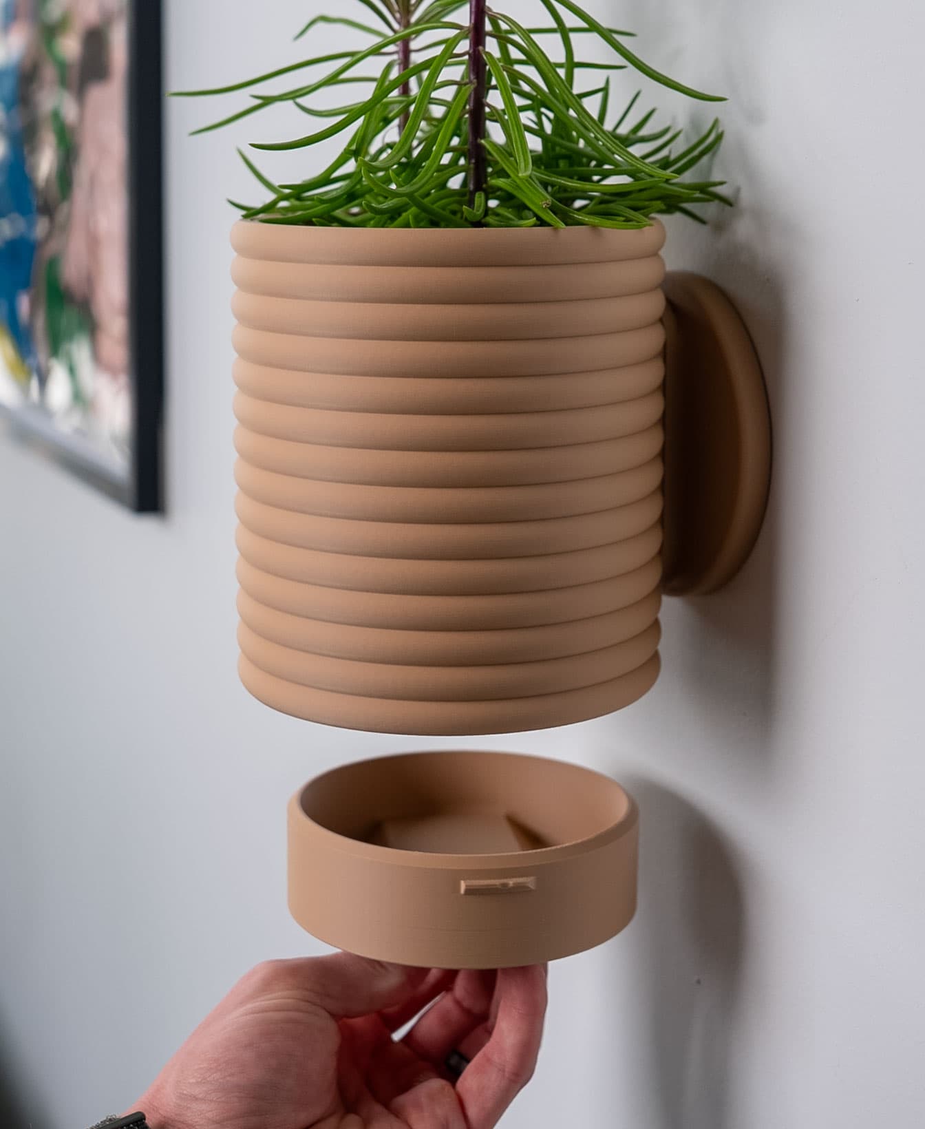 Poppy 2 Planter