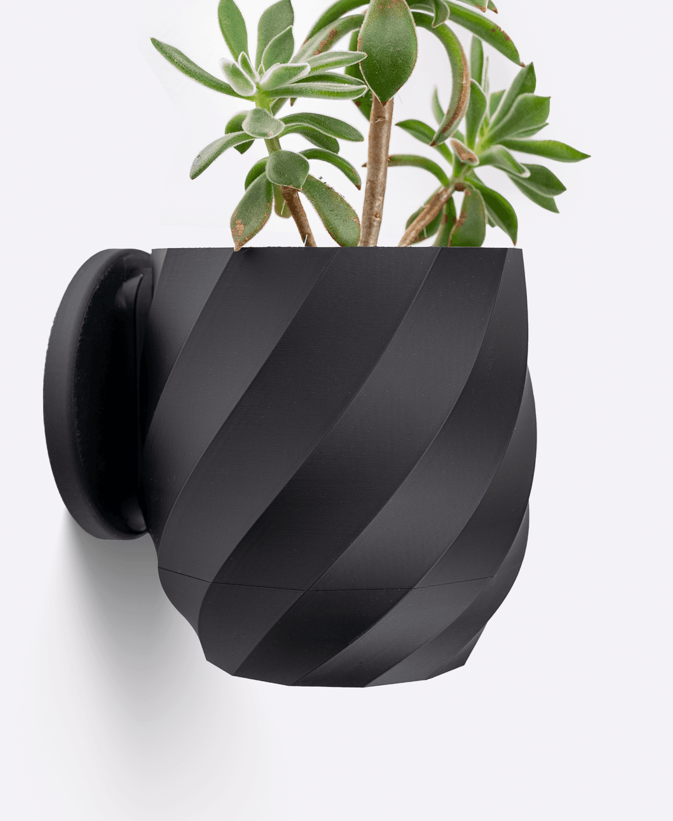 Twisted Planter