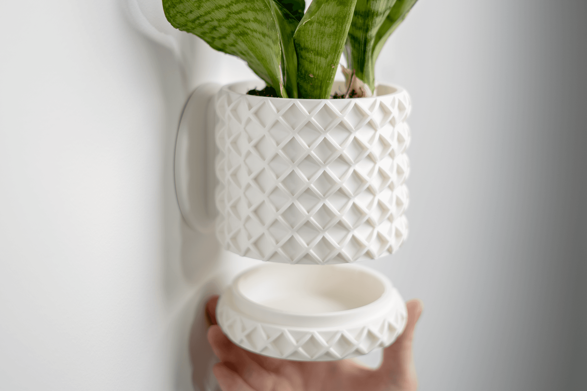 Bubble Lattice Planter — Small Table Top