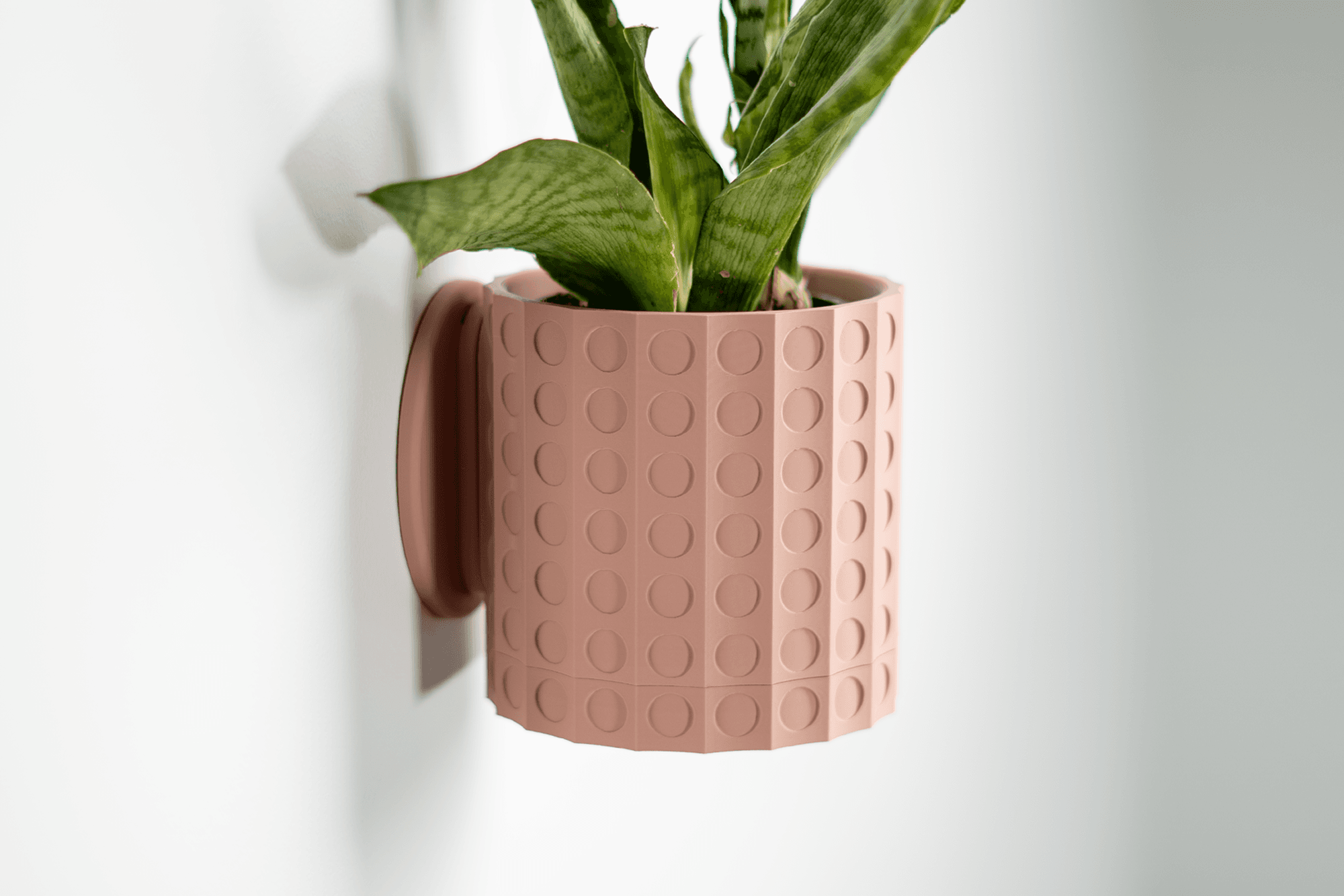 Dots Planter — Large Table Top