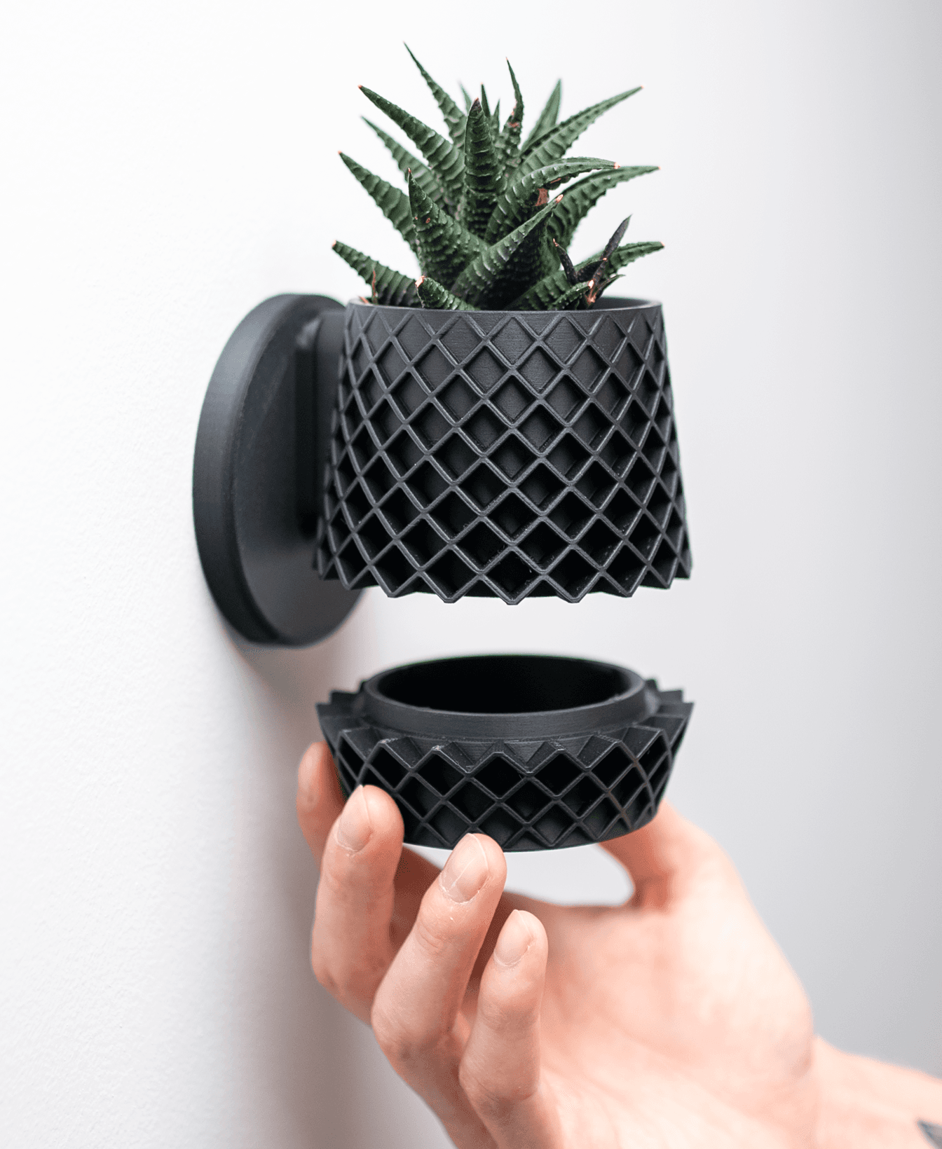 Lattice Planter — Large Table Top