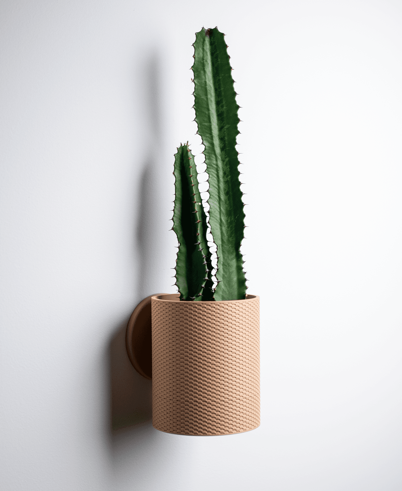 Straight Weave Planter — Small Table Top
