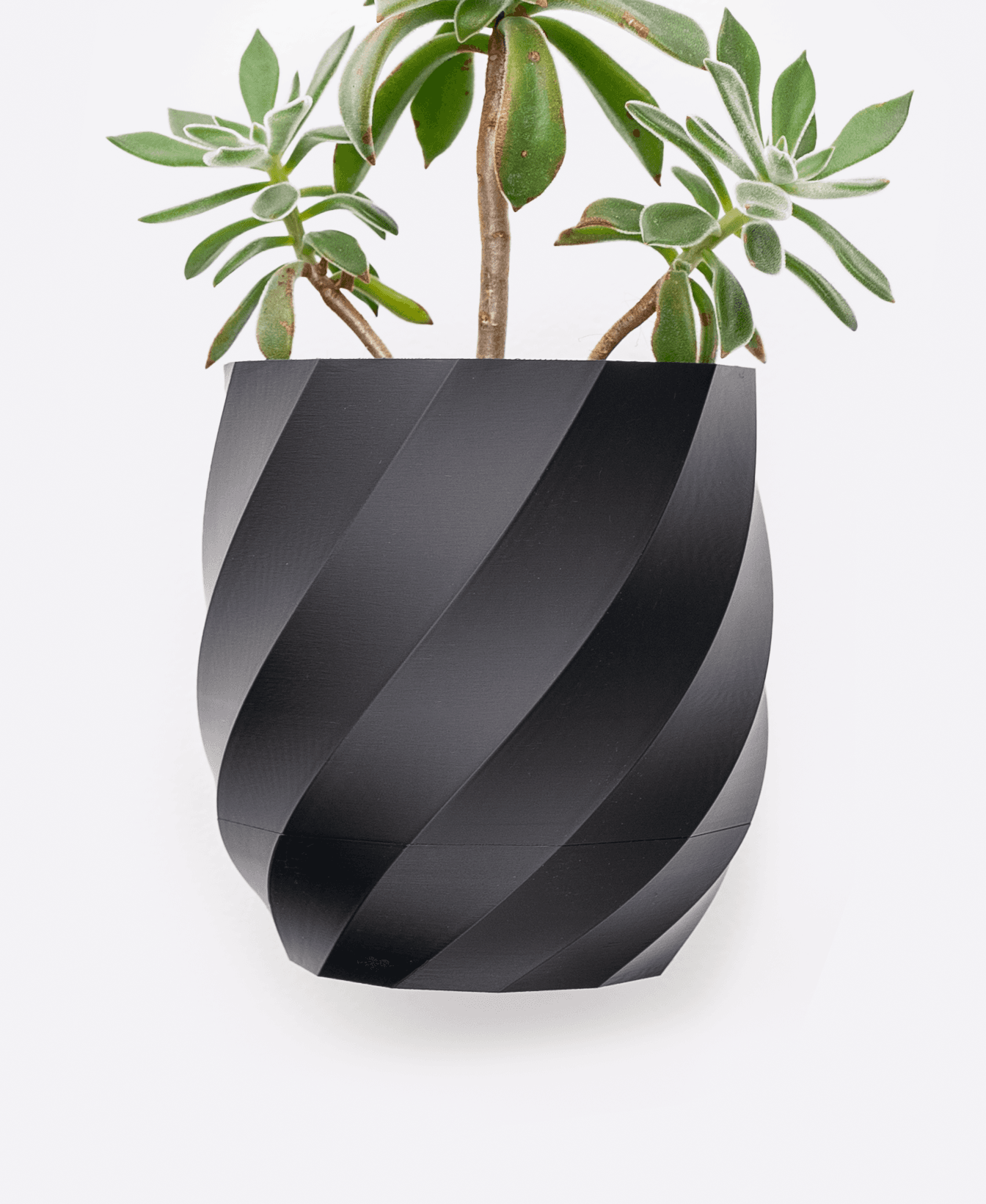 Twisted Planter — Large Table Top