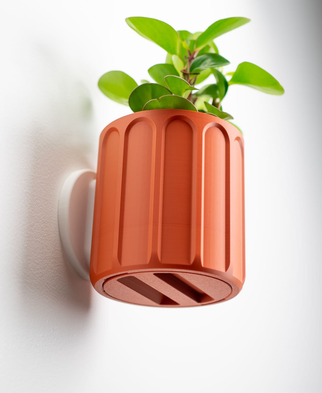 LG01 Planter — Large Table Top