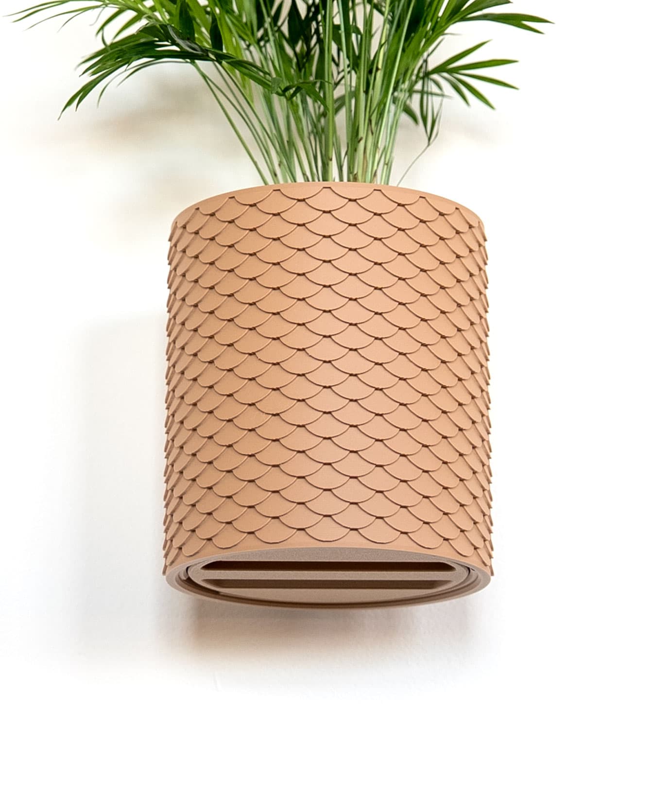 Scales Planter — Large Table Top