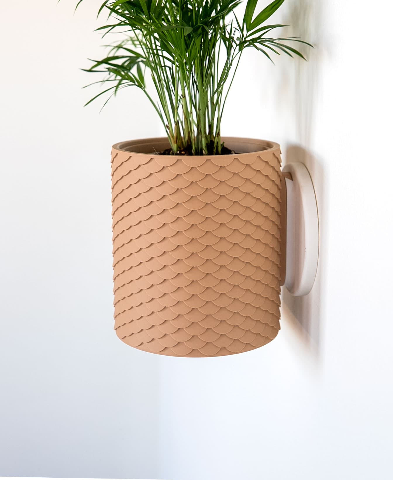 Scales Planter — Large Wall Mounted