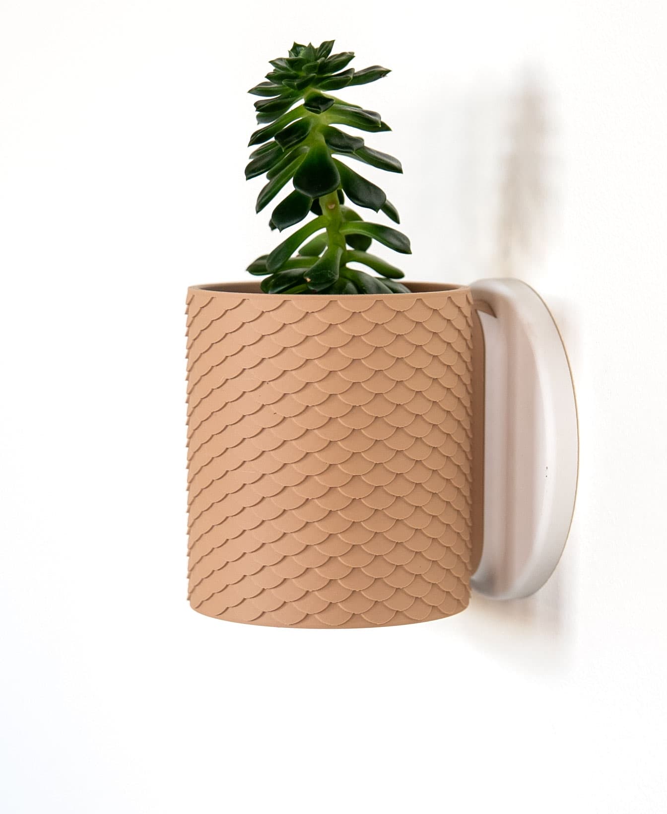 Scales Planter