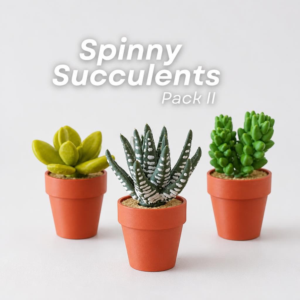 Spinny Succulents Pack II