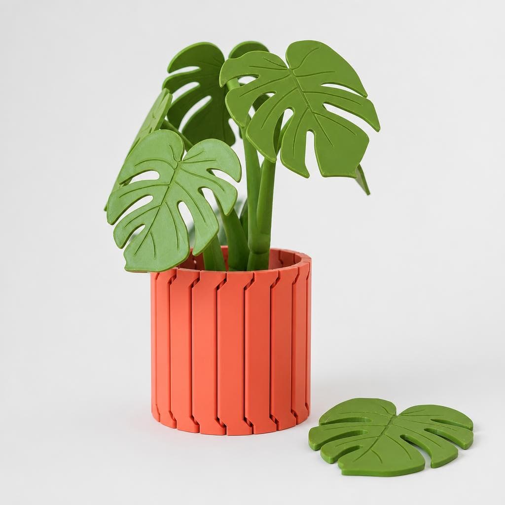 Monstera Coaster Set Gen 2